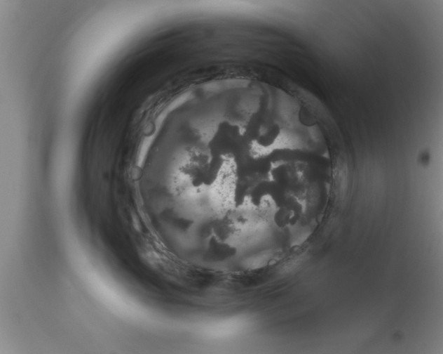 X0000111160765200907211227