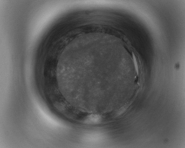 X0000111160766200907211227