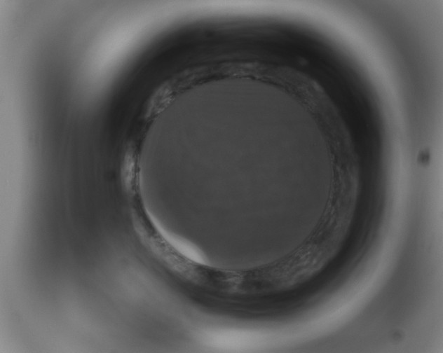 X0000111160767200907211227