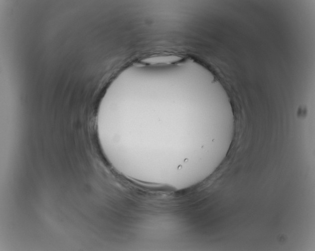 X0000111160768200907211227