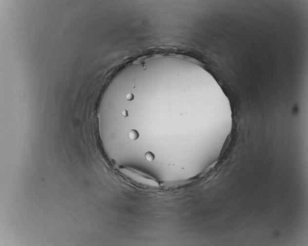 X0000111160769200907211226