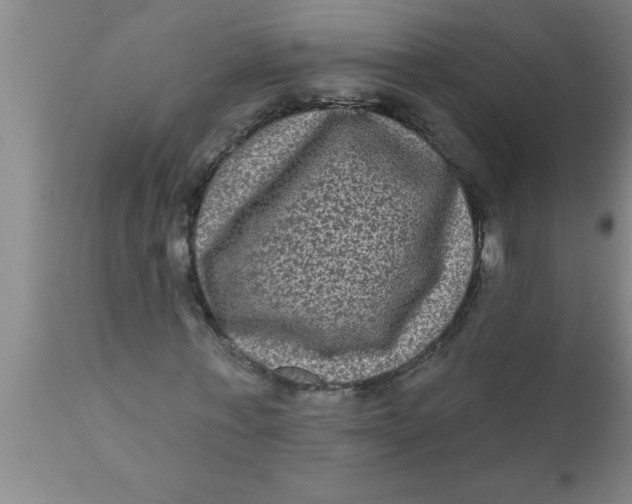 X0000111160771200907211226