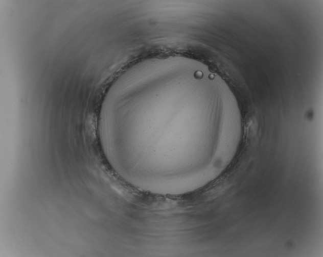 X0000111160772200907211226