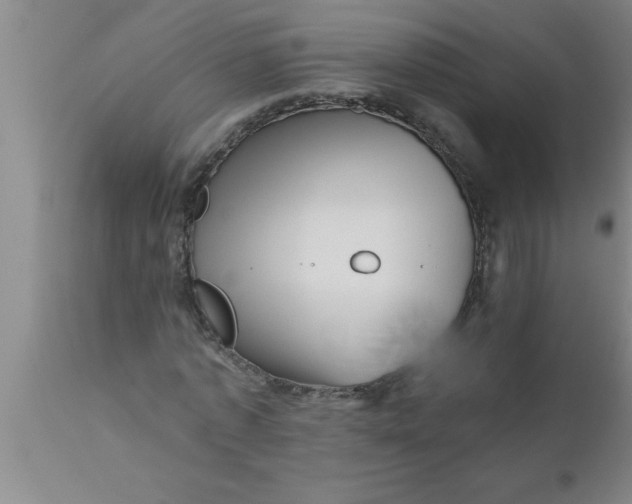 X0000111160773200907211226