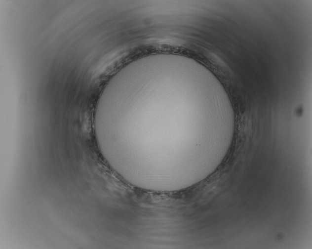 X0000111160774200907211226