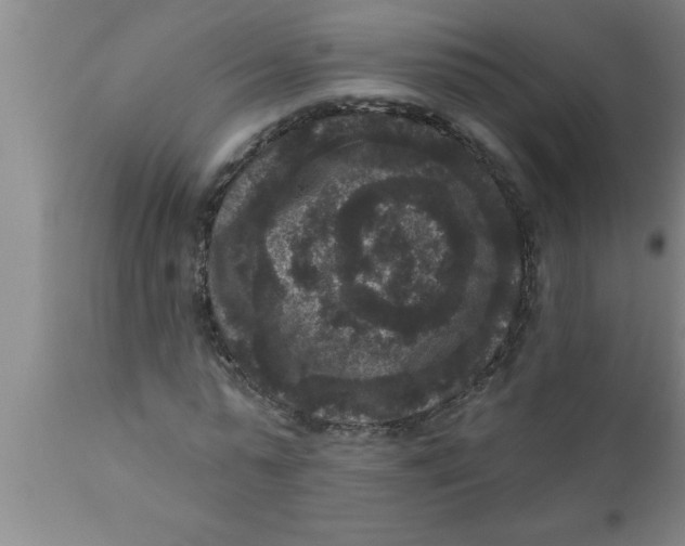 X0000111160775200907211226