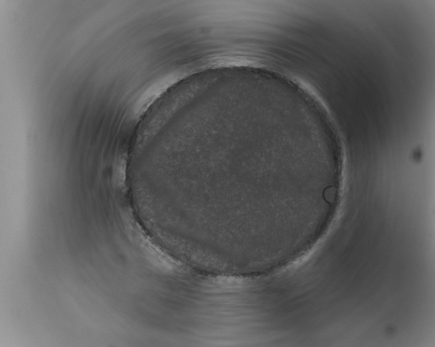 X0000111160777200907211226