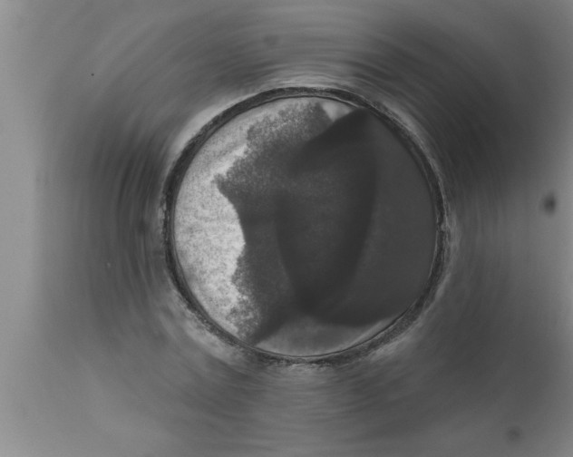 X0000111160779200907211226