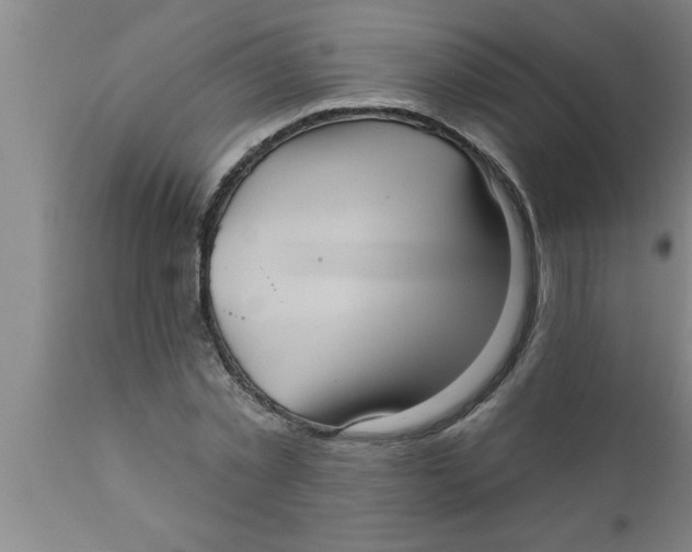 X0000111160781200907211226