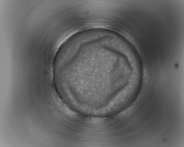 X0000111160782200907211226