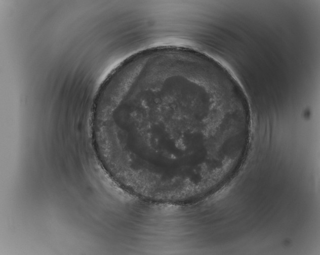 X0000111160783200907211226