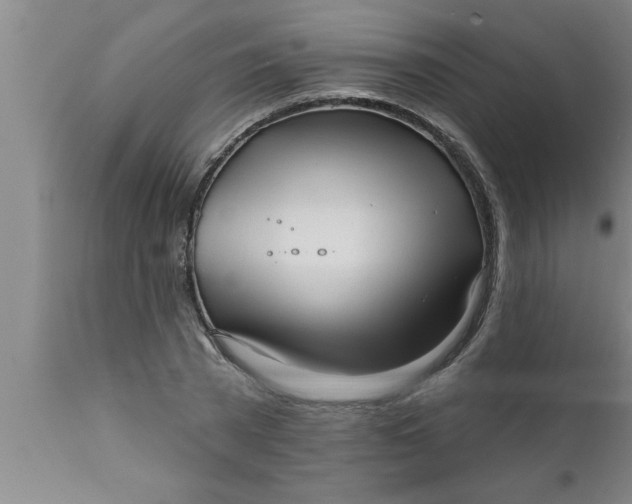 X0000111160785200907211226