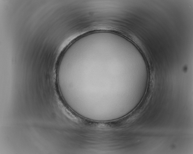 X0000111160787200907211226