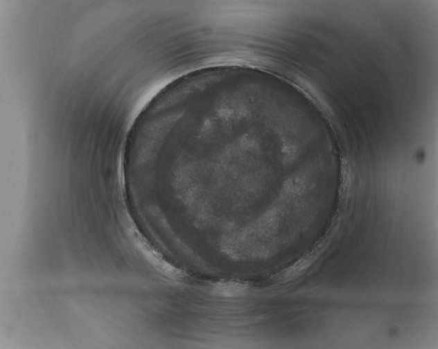 X0000111160788200907211226