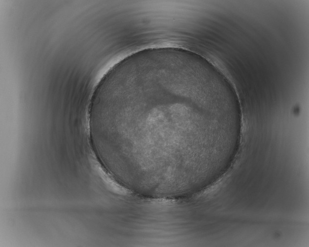 X0000111160789200907211226