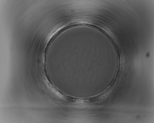 X0000111160790200907211226