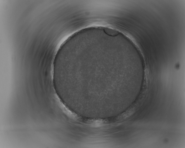 X0000111160791200907211226