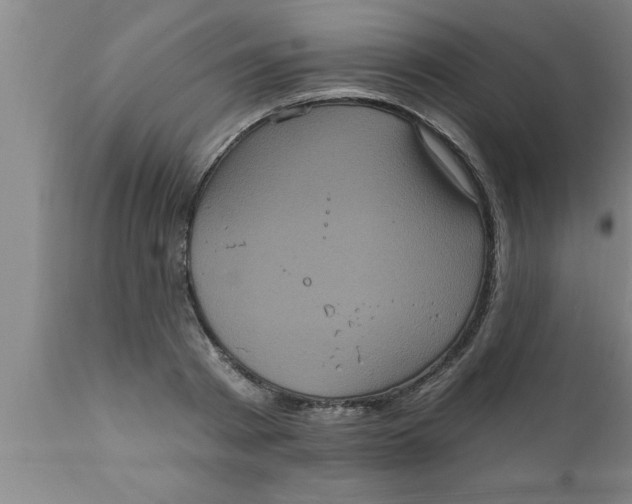 X0000111160793200907211226