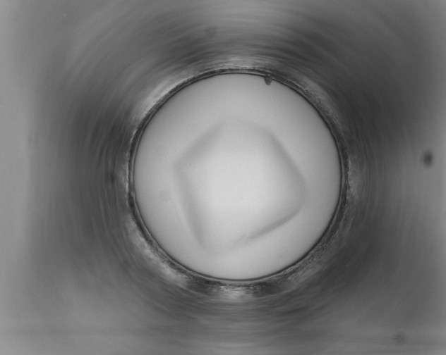 X0000111160794200907211226