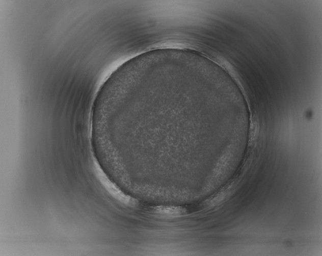 X0000111160795200907211226