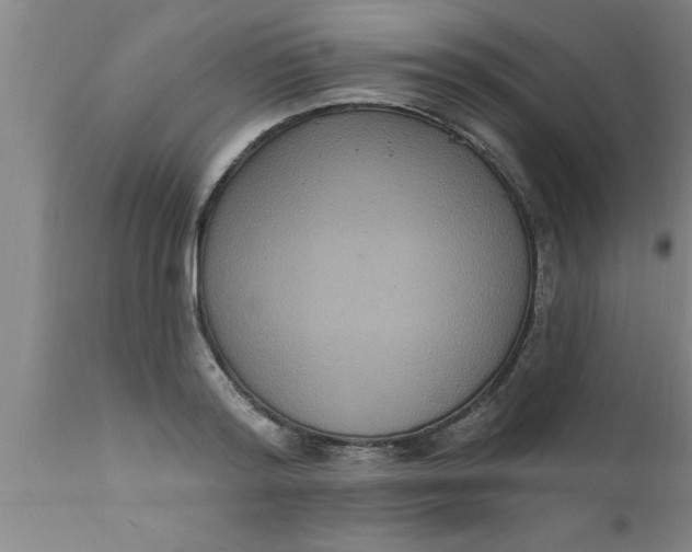 X0000111160796200907211226