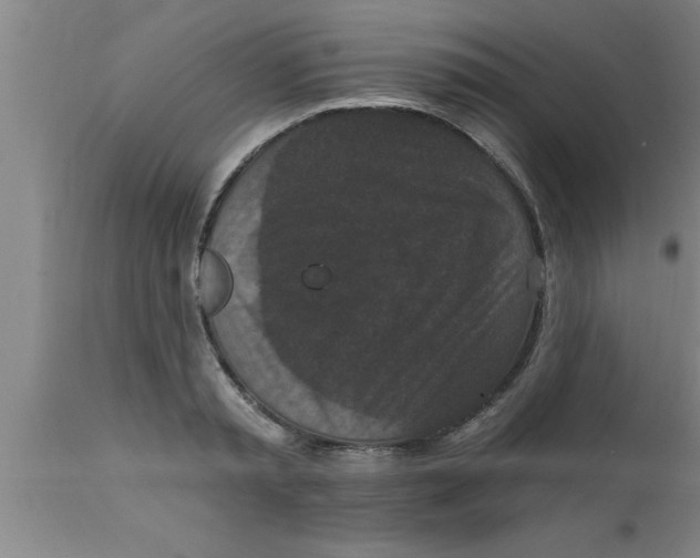 X0000111160797200907211226