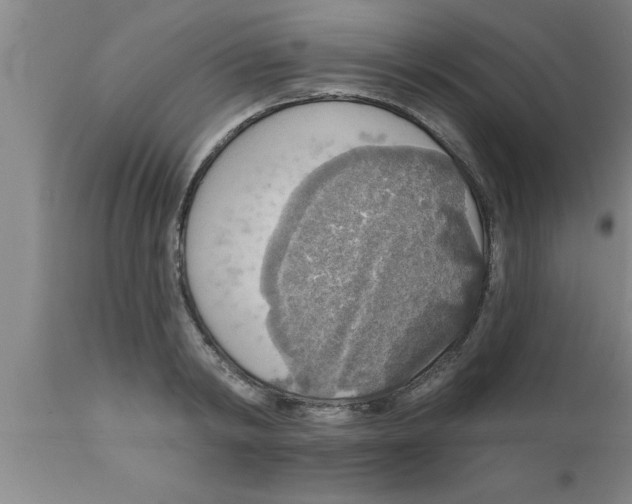 X0000111160798200907211226