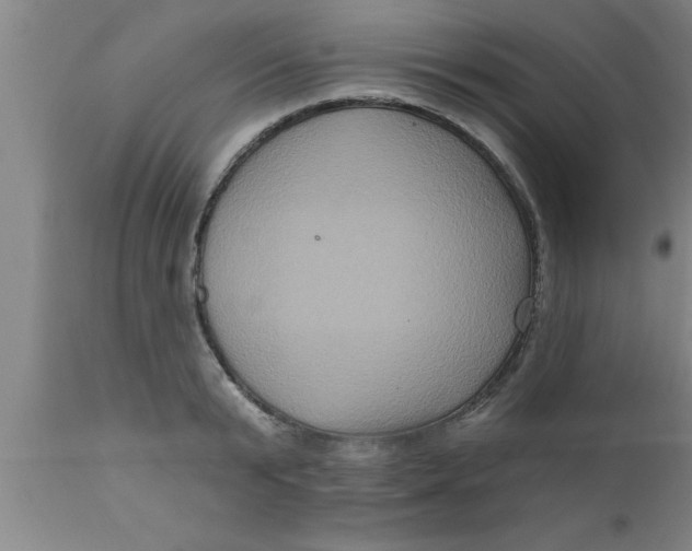 X0000111160799200907211226