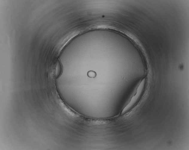 X0000111160801200907211226