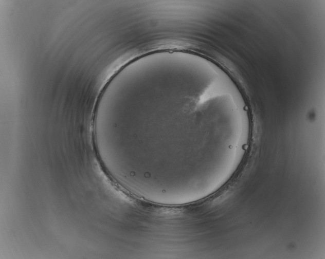 X0000111160802200907211226