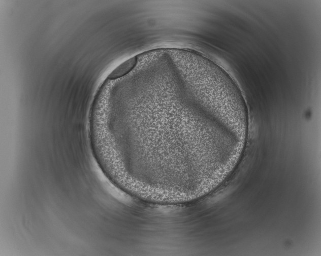 X0000111160803200907211226