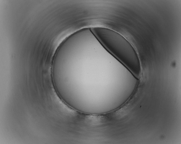 X0000111160805200907211226