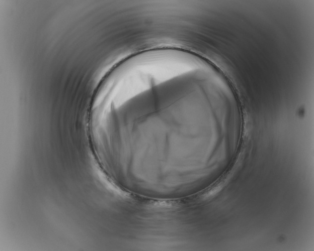 X0000111160806200907211226