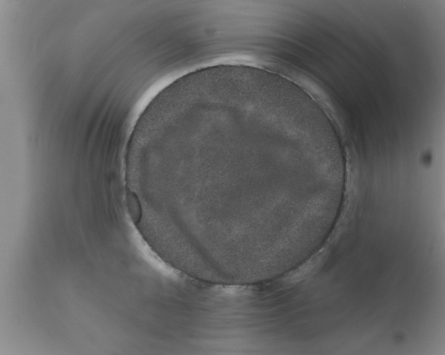 X0000111160808200907211226