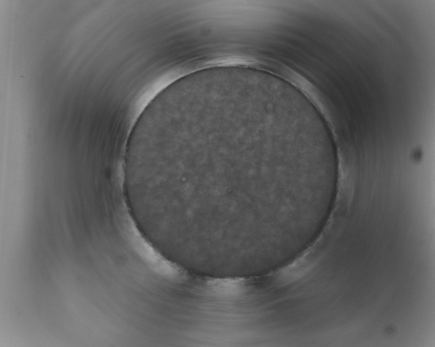 X0000111160810200907211225