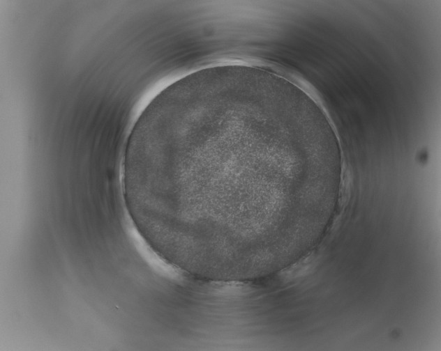 X0000111160811200907211225