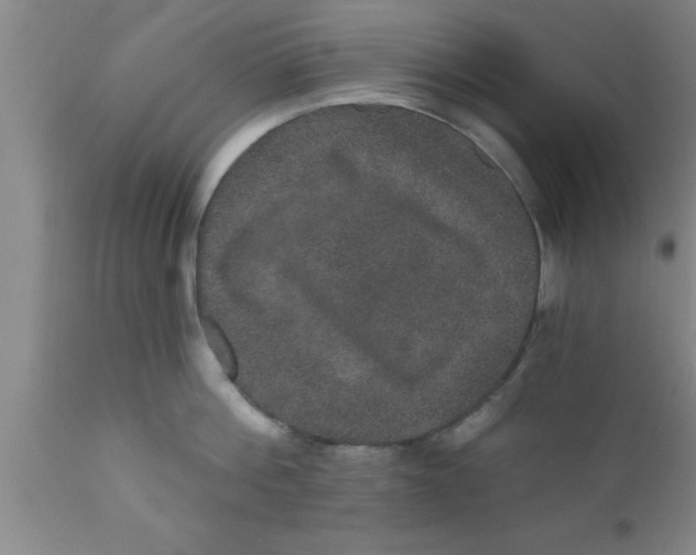 X0000111160812200907211225