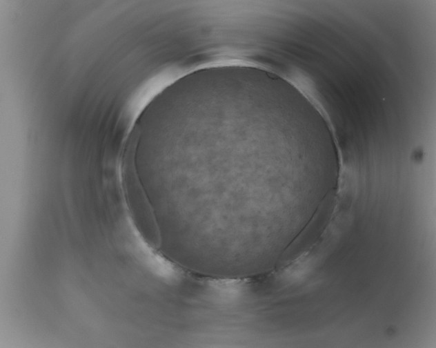 X0000111160813200907211225