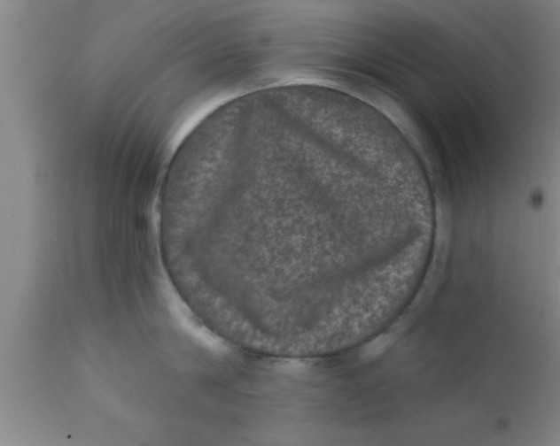 X0000111160814200907211225