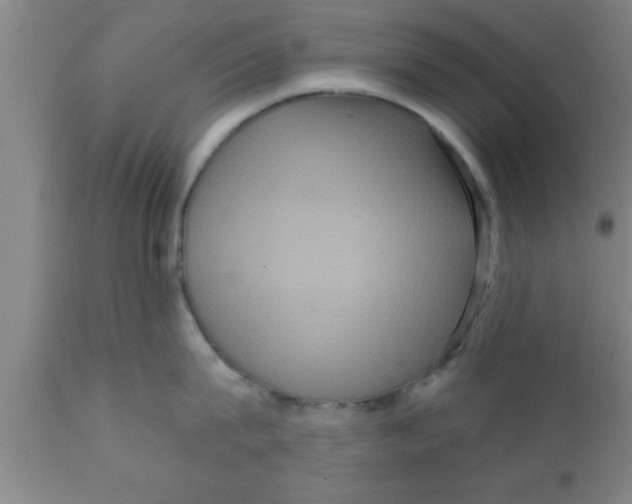 X0000111160815200907211225