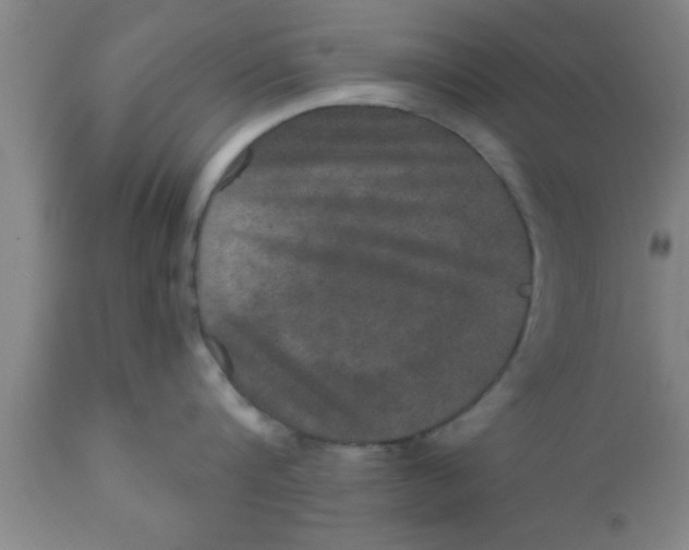 X0000111160816200907211225