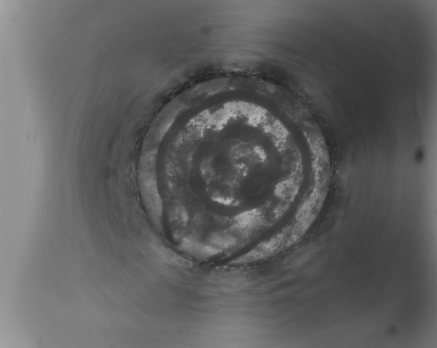 X0000111160817200907211225