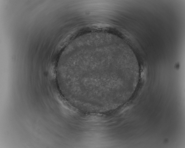 X0000111160819200907211225