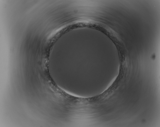 X0000111160822200907211225