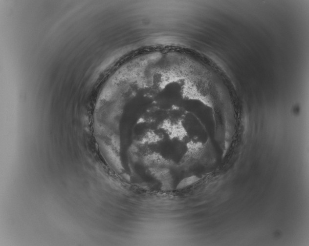 X0000111160823200907211225