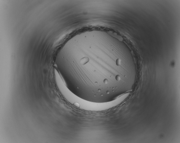 X0000111160824200907211225