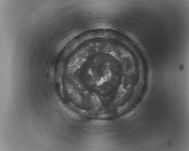 X0000111160825200907211225