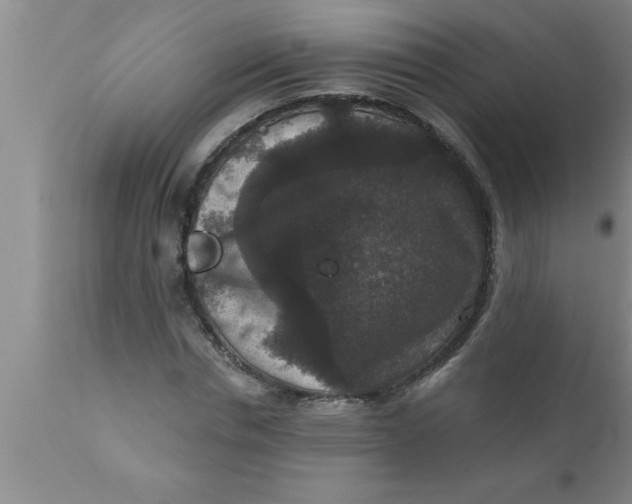 X0000111160826200907211225