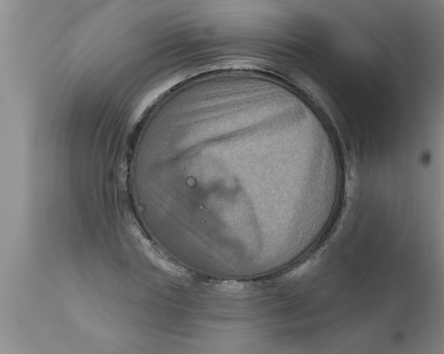 X0000111160827200907211225