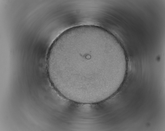 X0000111160828200907211225